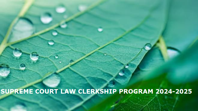 Supreme Court of Pakistan, Law Clerk Vacancies, 2024 Law Clerkship, Pakistan Supreme Court Jobs, Law Clerk Application, Legal Careers Pakistan, editor