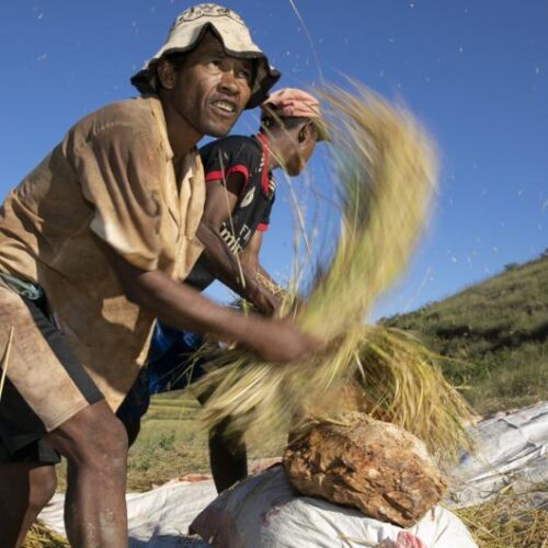 climate change, heat stress, worker health, productivity, WHO, WMO, occupational safety, sustainable development goals, global warming, heatwaves, agriculture, construction, fisheries. Khudayar Mohla