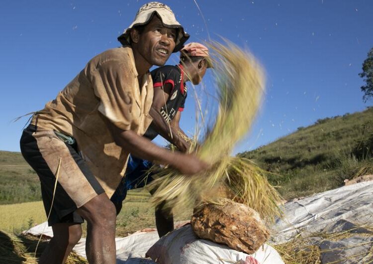 climate change, heat stress, worker health, productivity, WHO, WMO, occupational safety, sustainable development goals, global warming, heatwaves, agriculture, construction, fisheries. Khudayar Mohla